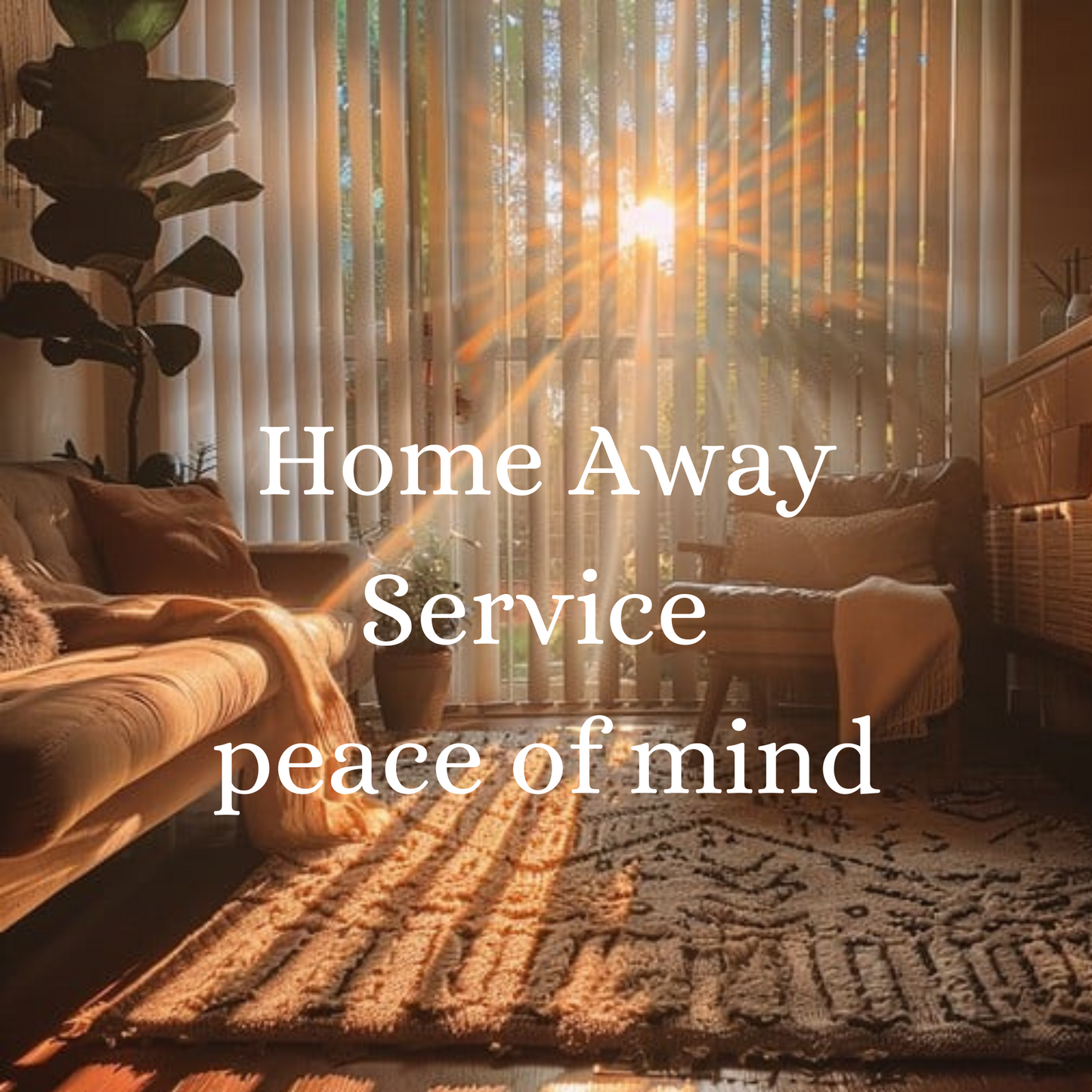 Concierge Peace of Mind - Snowbird Home Watch Service - $69/Month for 4 home checks