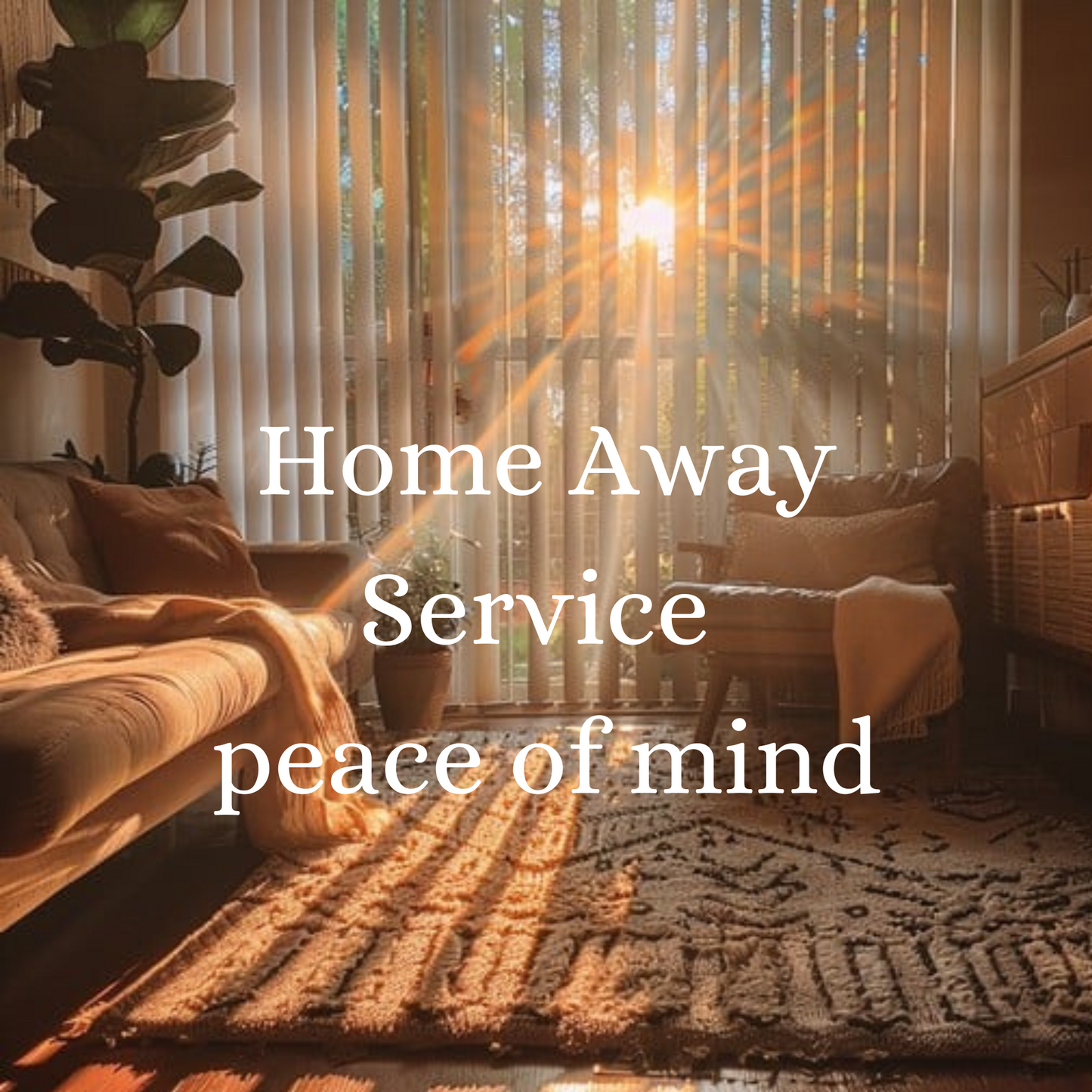 Concierge Peace of Mind - Snowbird Home Away Service - $69/Month for 4 home checks